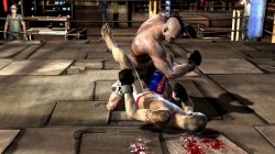 Supremacy MMA, captura de pantalla