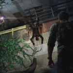 The Last of Us (11)