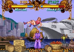 Double-Dragon-1995-(2)