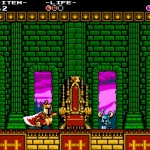 Shovel Knight-(10)